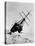 Ernest Shackleton's Expedition Ship Endurance Trapped in Ice-null-Premier Image Canvas