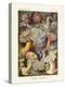 ERNST HAECKEL Art19Th CenturyActiniae.-The Nature Notes-Premier Image Canvas