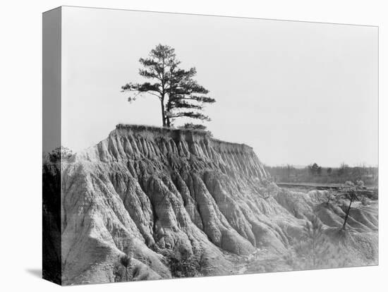 Erosion near Jackson, Mississippi, 1936-Walker Evans-Premier Image Canvas