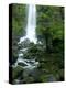 Erskine Falls, Waterfall in the Rainforest, Great Ocean Road, South Australia, Australia-Thorsten Milse-Premier Image Canvas