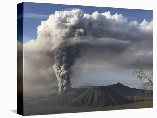 Eruption of Ash Cloud from Mount Bromo Volcano, Tengger Caldera, Java, Indonesia-Stocktrek Images-Premier Image Canvas