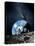 ESA Lunar Exploration, Artwork-Detlev Van Ravenswaay-Premier Image Canvas