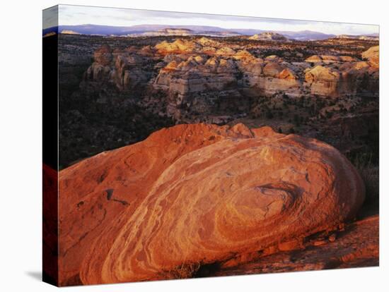 Escalante Canyon Rim, Grand Staircase-Escalante National Monument, Utah, USA-Charles Gurche-Premier Image Canvas