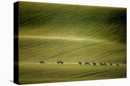 Escape-Marcin Sobas-Premier Image Canvas