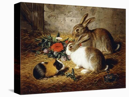 Escaped: Two Rabbits and Guinea Pig-Alfred R. Barber-Premier Image Canvas