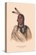 Esh-Ta-Hum-Leah, Sioux Chief-null-Stretched Canvas