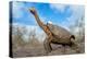 Espanola giant Galapagos tortoise stretching its neck-Tui De Roy-Premier Image Canvas