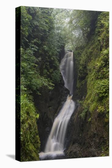 Ess Na Larach, Glenarriff, County Antrim, Ulster, Northern Ireland, United Kingdom, Europe-Carsten Krieger-Premier Image Canvas