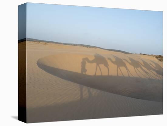 Essaouira Beach Camel Shadows, Morocco, North Africa, Africa-Charles Bowman-Premier Image Canvas