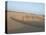 Essaouira Beach Camel Shadows, Morocco, North Africa, Africa-Charles Bowman-Premier Image Canvas