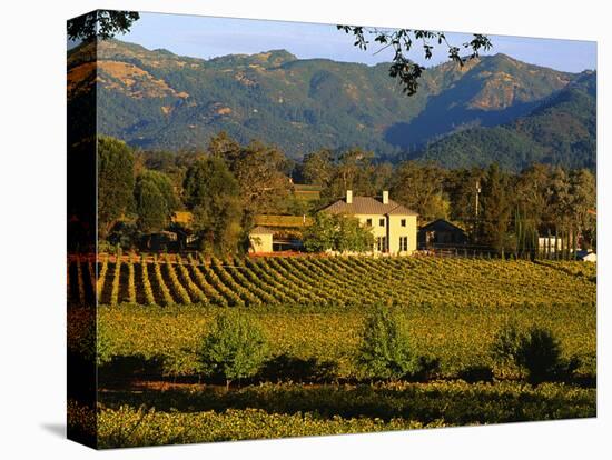 Estate and Vineyard, Napa Valley, California-John Alves-Premier Image Canvas