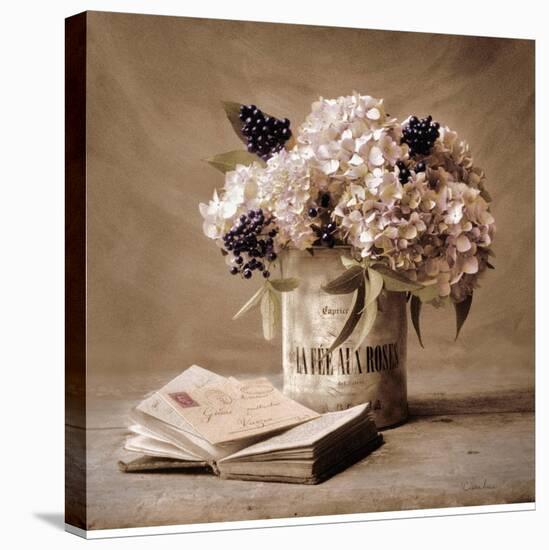 Estate Hydrangeas-Cristin Atria-Stretched Canvas