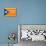 Estelada; Catalan Independence Flag-Juan Carlos B.-Stretched Canvas displayed on a wall