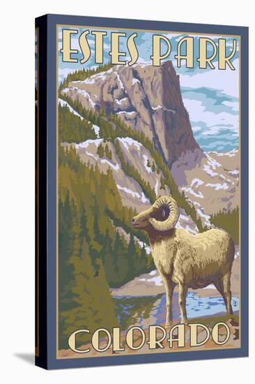 Estes Park, Colorado - Big Horn Sheep-Lantern Press-Stretched Canvas