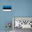 Estonia Flag Design with Wood Patterning - Flags of the World Series-Philippe Hugonnard-Stretched Canvas displayed on a wall