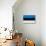 Estonia Flag Design with Wood Patterning - Flags of the World Series-Philippe Hugonnard-Stretched Canvas displayed on a wall