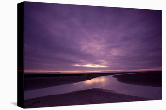 Estuarine River Inlet Running across Mudflats at Dawn, Morecambe Bay, Cumbria, UK, February-Peter Cairns-Premier Image Canvas