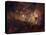 Eta Carinae-Stocktrek Images-Premier Image Canvas