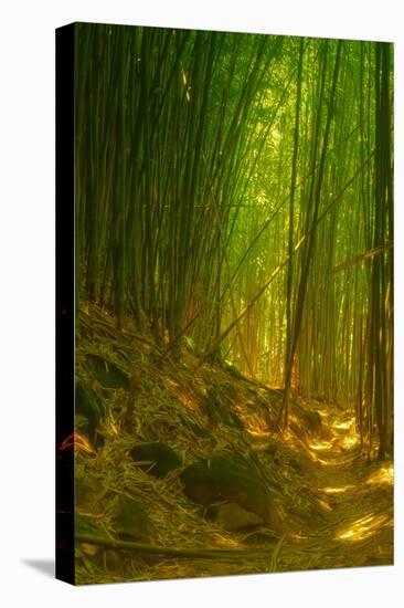 Ethereal Bamboo Forest, Maui, Hawaii-Vincent James-Premier Image Canvas