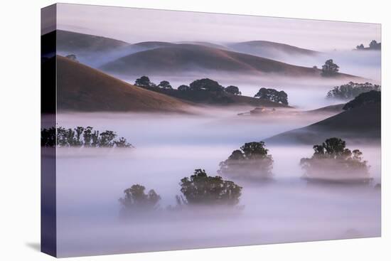 Ethereal Hills and Fog, Misty Otherworldy View at Petaluma Sonoma County-Vincent James-Premier Image Canvas