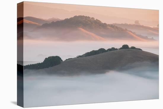 Ethereal Morning, Petaluma Marin County, Bay Area-Vincent James-Premier Image Canvas