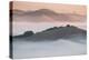 Ethereal Morning, Petaluma Marin County, Bay Area-Vincent James-Premier Image Canvas