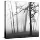 Ethereal Trees-Nicholas Bell-Premier Image Canvas