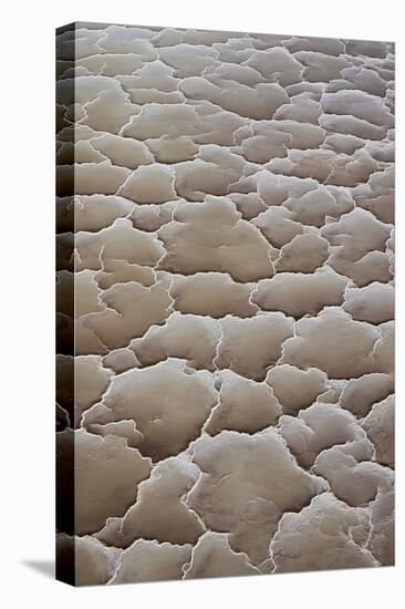 Ethiopia, Lake Karum, Afar Region. Salt Patterns on the Flats Beside Lake Karum.-Nigel Pavitt-Premier Image Canvas