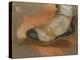 Etude d'une babouche; étude pour "La Mort de Sardanapale"; 1827-1828-Eugene Delacroix-Premier Image Canvas