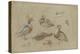 Etude de canards et tête de sarcelle-Pieter Boel-Premier Image Canvas