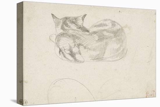 Etude de chat couché vu de dos-Eugene Delacroix-Premier Image Canvas