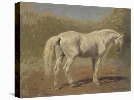 Etude de cheval blanc-Rosa Bonheur-Premier Image Canvas
