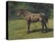 Etude de cheval gris au vert-Rosa Bonheur-Premier Image Canvas