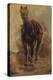 Etude de cheval pour le portrait équestre du comte Palikao-Paul Baudry-Premier Image Canvas