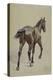 Etude de cheval-Adrien Emmanuel Marie-Premier Image Canvas