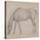 Etude de cheval-Edgar Degas-Premier Image Canvas