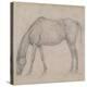 Etude de cheval-Edgar Degas-Premier Image Canvas