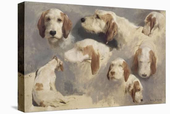 Etude de chien de chasse ; 8 esquisses-Rosa Bonheur-Premier Image Canvas
