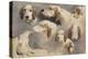 Etude de chien de chasse ; 8 esquisses-Rosa Bonheur-Premier Image Canvas