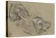 Etude de deux têtes d'éléphants tournées vers la droite, et étude d'oeil-Pieter Boel-Premier Image Canvas