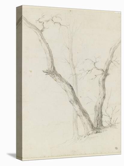 Etude de trois arbres dépouillés de leurs feuilles-Pierre Henri de Valenciennes-Premier Image Canvas