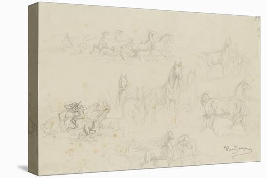 Etudes de chevaux pour 'le dépiquage des blés dans la Camargue'-Rosa Bonheur-Premier Image Canvas