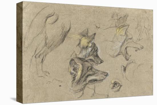 Etudes de têtes de loups et de détails du corps-Pieter Boel-Premier Image Canvas