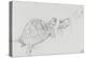 Etudes de tortue-Gustave Moreau-Premier Image Canvas