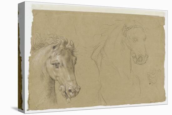 Etudes pour la tête d'un cheval-Pierre Mignard-Premier Image Canvas