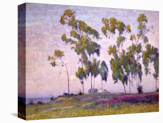 Eucalyptus and Moonrise-Maurice Braun-Stretched Canvas