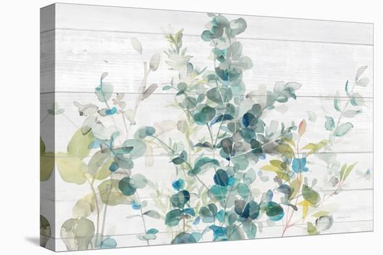 Eucalyptus I on Shiplap Crop-Danhui Nai-Stretched Canvas