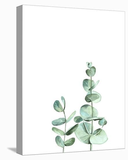 Eucalyptus II-Ann Solo-Stretched Canvas