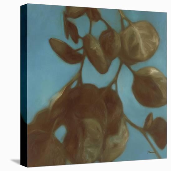 Eucalyptus II-Julianne Marcoux-Stretched Canvas