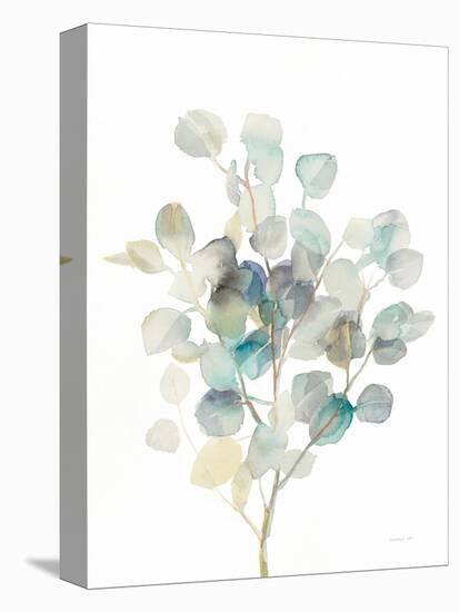 Eucalyptus III White-Danhui Nai-Stretched Canvas